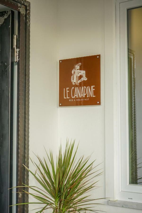 B&B Le Canapine Frattamaggiore Bagian luar foto